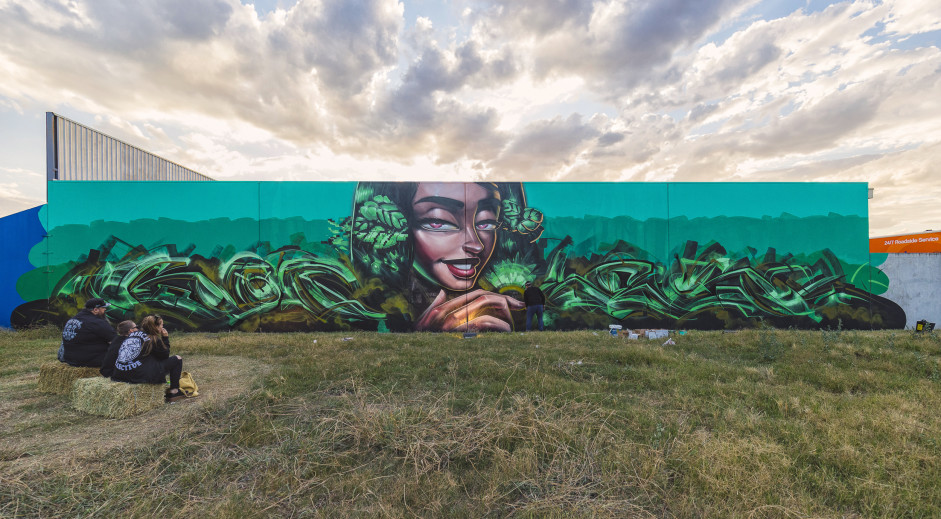 Wall to Wall Festival 2017 - Juddy Roller - Street Art Australia